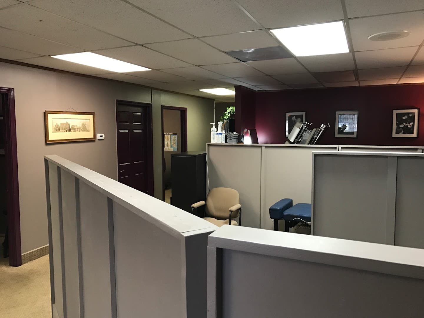 True Health Chiropractic - Photo 1