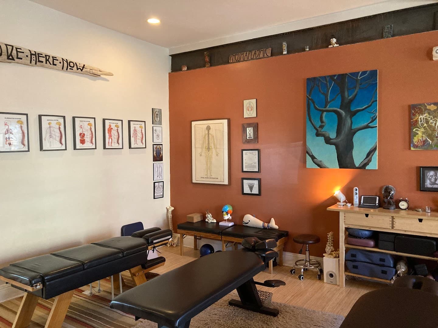 Turiya Chiropractic - Photo 1